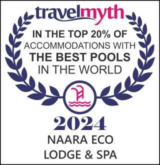 Travelmyth 2024 — Among the top 20% of stays with the best pools worldwide
