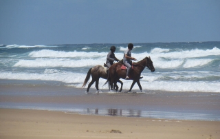 Horse Riding on Beach at Naara Eco-Lodge 1 Horse Riding on Beach at Naara Eco-Lodge 1